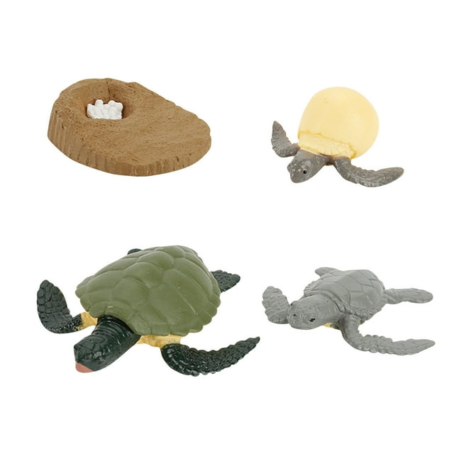 4 Piece Insect Figure Animal Life Cycle Plastic Brood To Mature Period