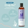 thumbnail image 2 of kin+kind  Oatmeal Natural Dog and Cat Shampoo - Gentle Oatmeal Clean for Sensitive Skin - Lavender Fragrance - 12 fl oz, 2 of 7