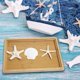 thumbnail image 5 of Crafting Shells JQAQJU con forma de estrella de mar y vieira, 3-4 pulgadas, 12 unidades, 5 of 8