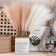 thumbnail image 5 of 5 Sticks Dried Pampas Grass Artificial Pompous Grass Branches Vase Filler For Home Living Room Kitchen Wedding Bohemian Dcor, 5 of 5