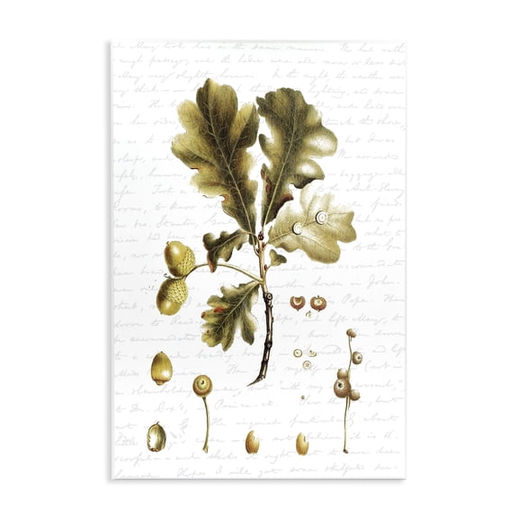 Stupell Industries Transitional Tree Leaves Seeds Fall Autumn Seasonal Design Wall Plaque Art, 13 x 19, by Lettered and Lined