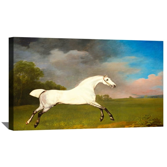 George Stubbs Paintings Sporting Art Print A Gray Horse Canvas Art Framed Wall Art
