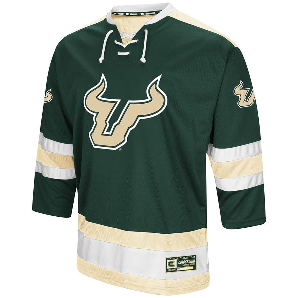 hockey sweater or jersey