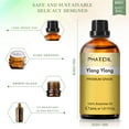 thumbnail image 3 of PHATOIL Ylang Ylang Essential Oils for Diffusers Humidifier 100% Pure Natural Aromatherapy Massage Bath Sleep Relaxation 30ml/1.01 fl.Oz, 3 of 9