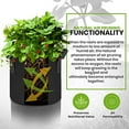 thumbnail image 5 of 3/ 5/10-gallon Fabric Growth Bag, Heavy Duty Thickened Fabric Flowerpot, Inflatable Fabric Flowerpot with Handle, Non-woven Fabric Bag Suitable for Vegetables, Flowers, Mushrooms (black), 5 of 6