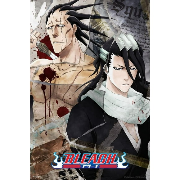 PPHAOSHO Bleach Anime Merch Manga Byakuya Merchandise Series Comic Action Character Swords Ichigo Kurosaki Soul Reaper Viz Media Japanese Animation Poster frameless Wall Posters 16x24inch