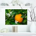 thumbnail image 1 of Orange Blossom - Impression sur Toile Portrait, 1 of 3
