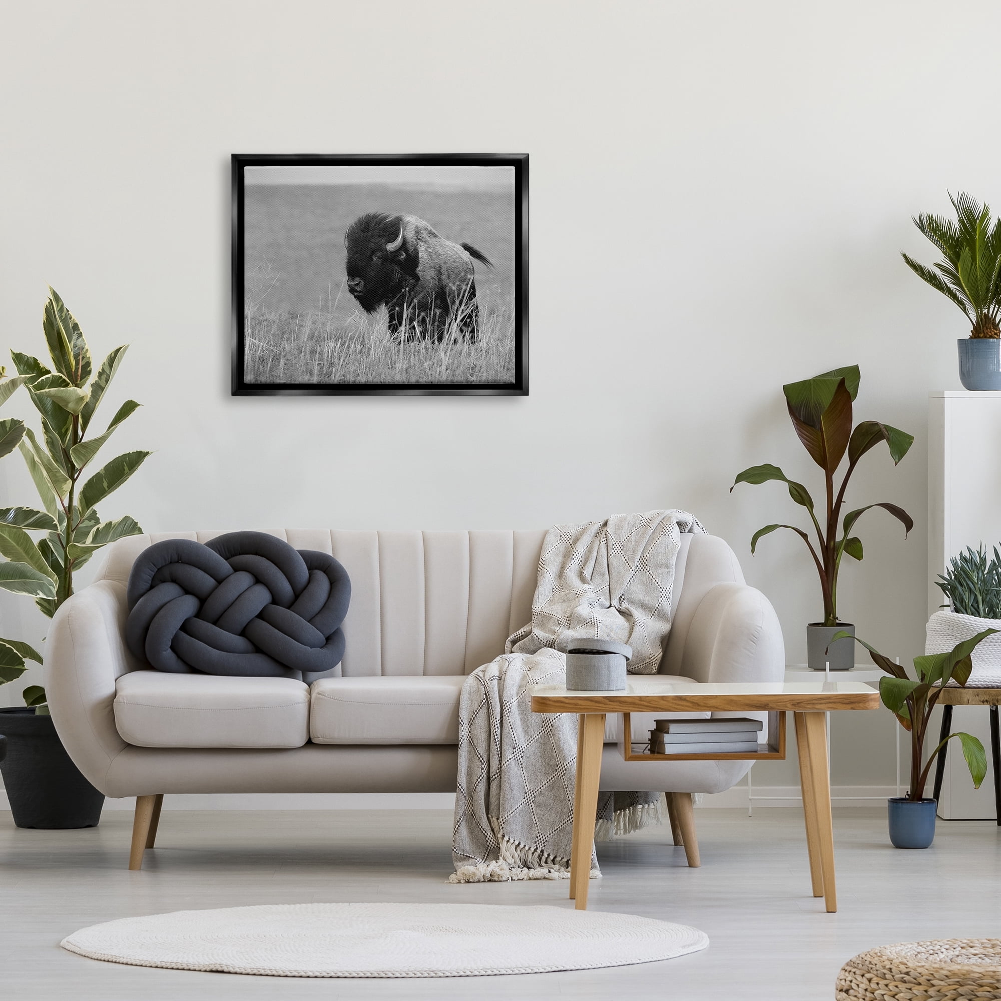 Stupell Industries Bison Grazing in Field Animals & Insects Photography Black Floater Framed Canvas Art Print Wall Art, 31 x 25