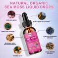 thumbnail image 3 of Suplemento B BEWORTHS Sea Moss en gotas líquidas de 120 ml con aceite de semillas negras, 3 of 6