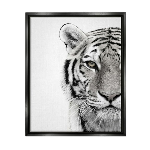 Stupell Industries White Tiger Close Up Black and White Photography Jet Black Framed Floating Canvas Wall Art, 16x20, by Design Fabrikken