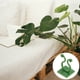 thumbnail image 1 of FESTFENDS 50Ud Gancho Para Fijar Plantas En Jardín Accesorio Resistente Y Fácil De Usar, 1 of 8