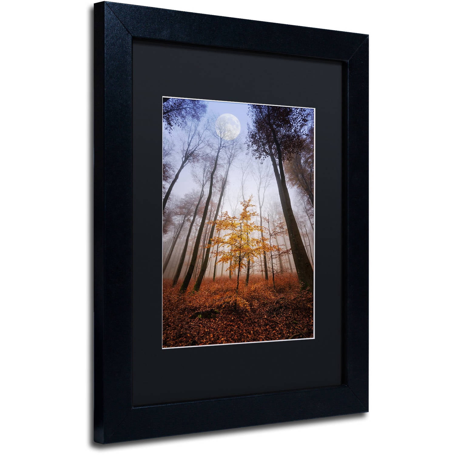 Trademark Fine Art "Sentinel" Canvas Art by Philippe Sainte-Laudy Black Matte, Black Frame
