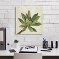 thumbnail image 5 of Epic Graffiti 'Front Yard Succulent I' by Silvia Vassileva, Canvas Wall Art, 18"x18", 5 of 8