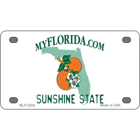 Florida State Blank Novelty Metal License Plate 4" x 2.2" Mini