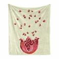 thumbnail image 1 of Winter Soft Flannel Fleece Throw Blanket, Fresh Seasonal Pomegranate Fruit Splash Pastel Food Vitamin Natural, Cozy Plush for Indoor and Outdoor Use, 70" x 90", Cream and Dark Coral, by Ambesonne, 1 of 5
