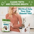 thumbnail image 6 of WHIMZEES By Wellness Daily Use Pack Grain Free Dental Treats for Dogs, Medium Brushzees Bag of 7, 6 of 9
