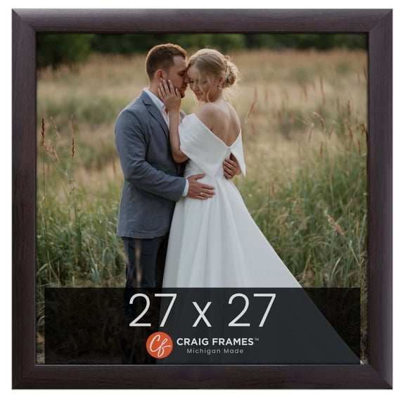 Craig Frames Contemporary, 27 x 27 inch Picture Frame, Brazilian Walnut Brown