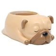 thumbnail image 5 of Chidian Dog Flowerpot Resin Succulent Planter Decorative Flower Pot Desk Mini Ornament (Pug), 5 of 5