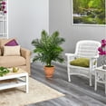 thumbnail image 4 of Nearly Natural 45" Areca Palm Artificial Tree in Terracotta Planter (Real Touch), 4 of 4