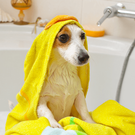 Vet's Best Flea Itch Relief Dog Shampoo