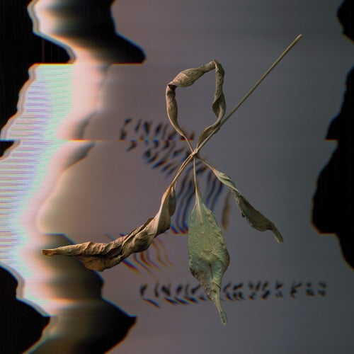 T. Gowdy - Trill Scan - Music & Performance - CD