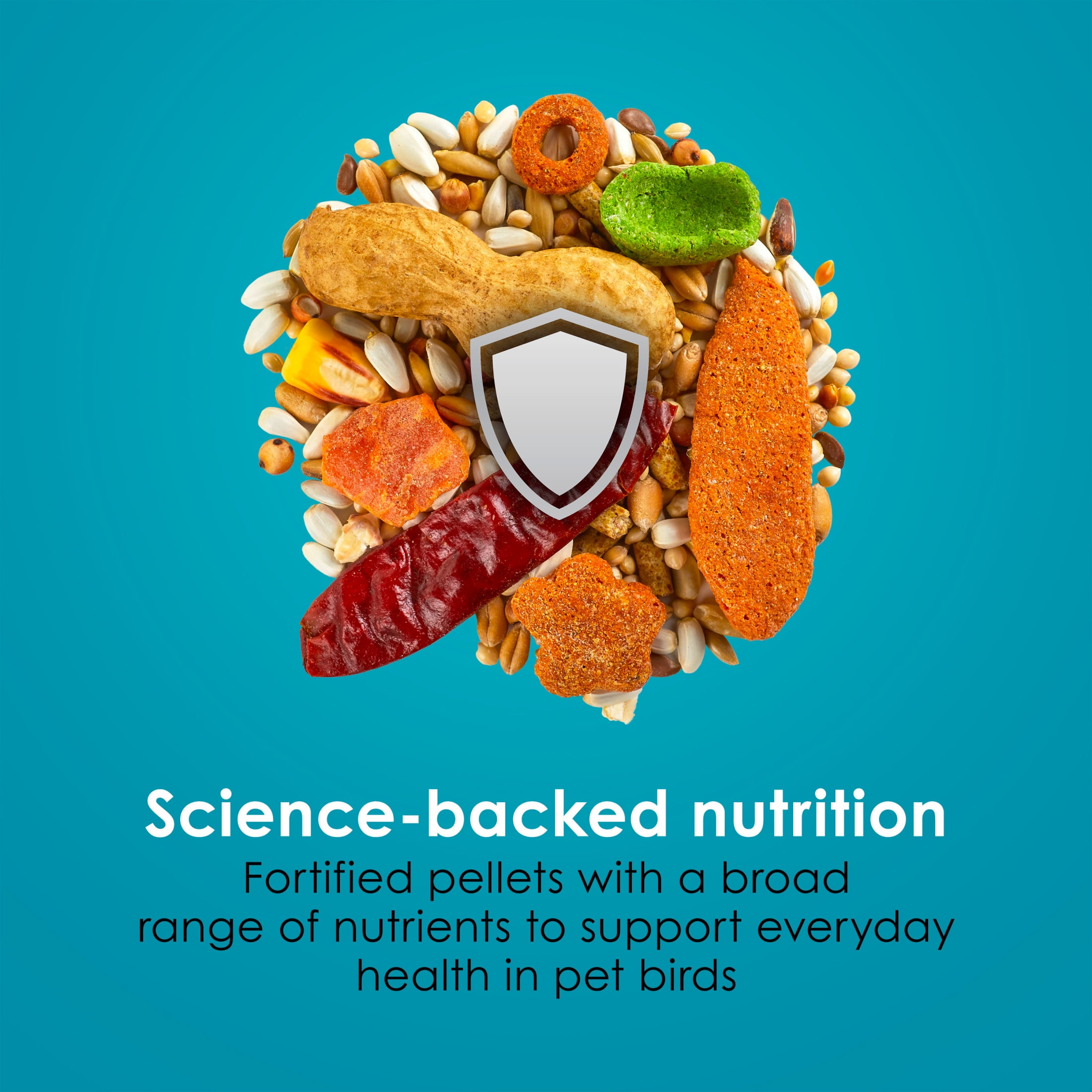 Kaytee Forti-Diet Pro Health + Safflower Nourish+Protect Parrot Food 4 Pounds