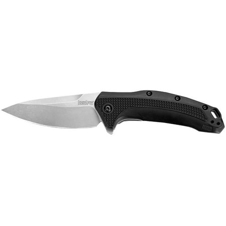 Kershaw Link Folding Pocket Knife (1776); 3.25 In. 420HC Stainless Steel Blade with Glass-Filled Nylon Handle, Reversible Pocketclip and SpeedSafe Assisted Opening; 4 oz.