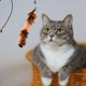thumbnail image 4 of 2 uds puerta colgante que rebota gato juguete gatito mascota juguete lindo juguete, 4 of 5