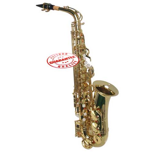 Hawk Student Gold Lacquered Alto Saxophone with Case, Mouthpiece and