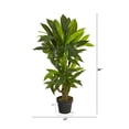 thumbnail image 2 of 3ft. Corn Stalk Dracaena Artificial Plant (Real Touch), 2 of 4