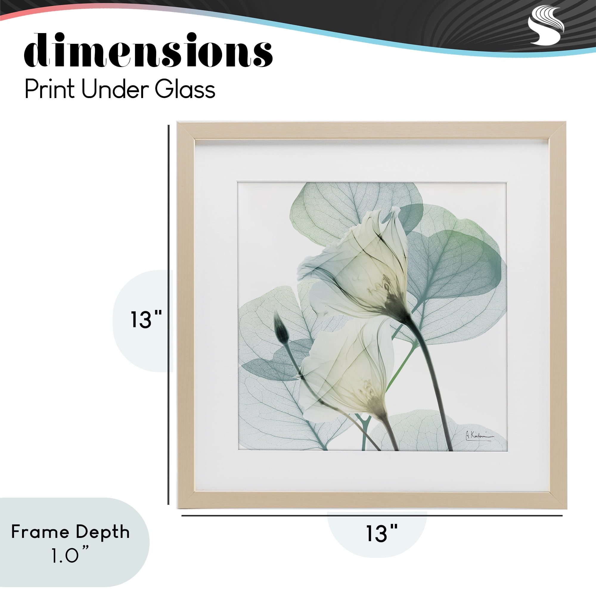 Stupell Industries Divine Fate Petals Birch Framed Print Under Glass, design by Albert Koetsier