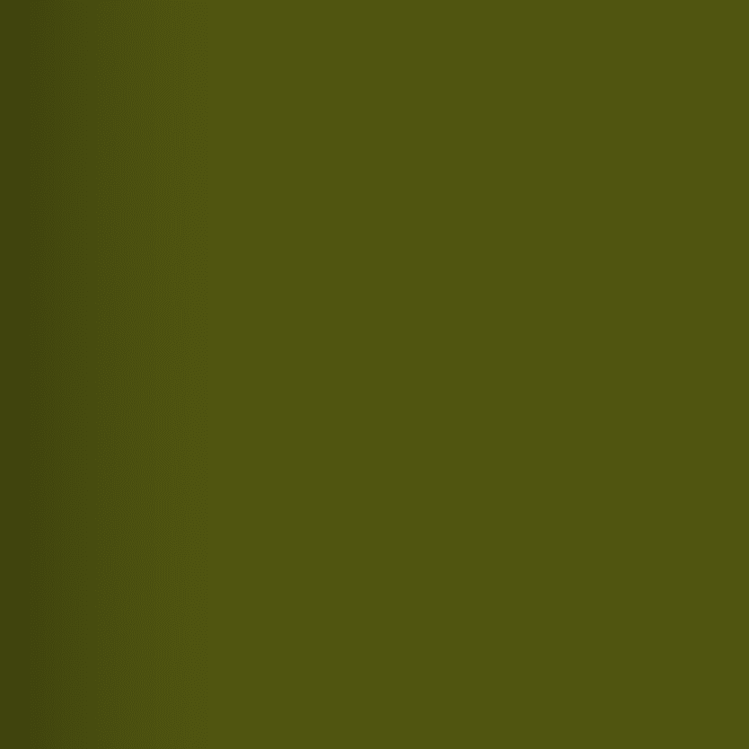 Army