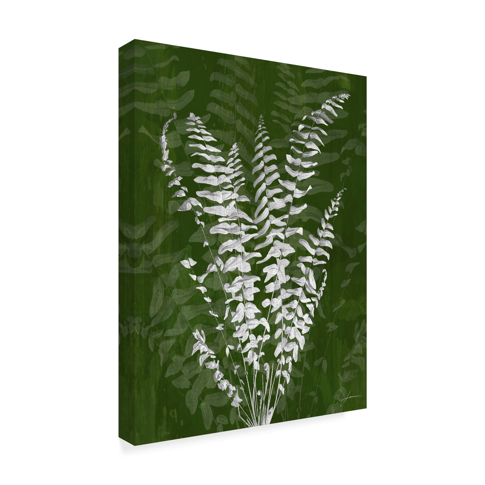Trademark Fine Art 'Jewel Ferns I' Canvas Art by James Burghardt