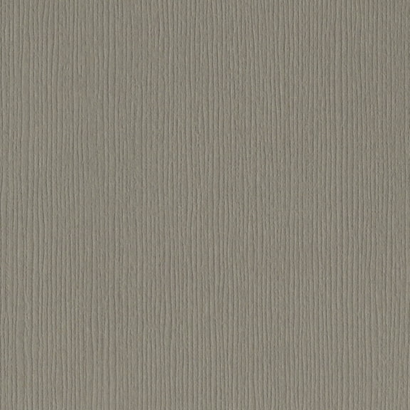 Bazzill Fourz Cardstock 12"X12"-Stonehenge/Grasscloth