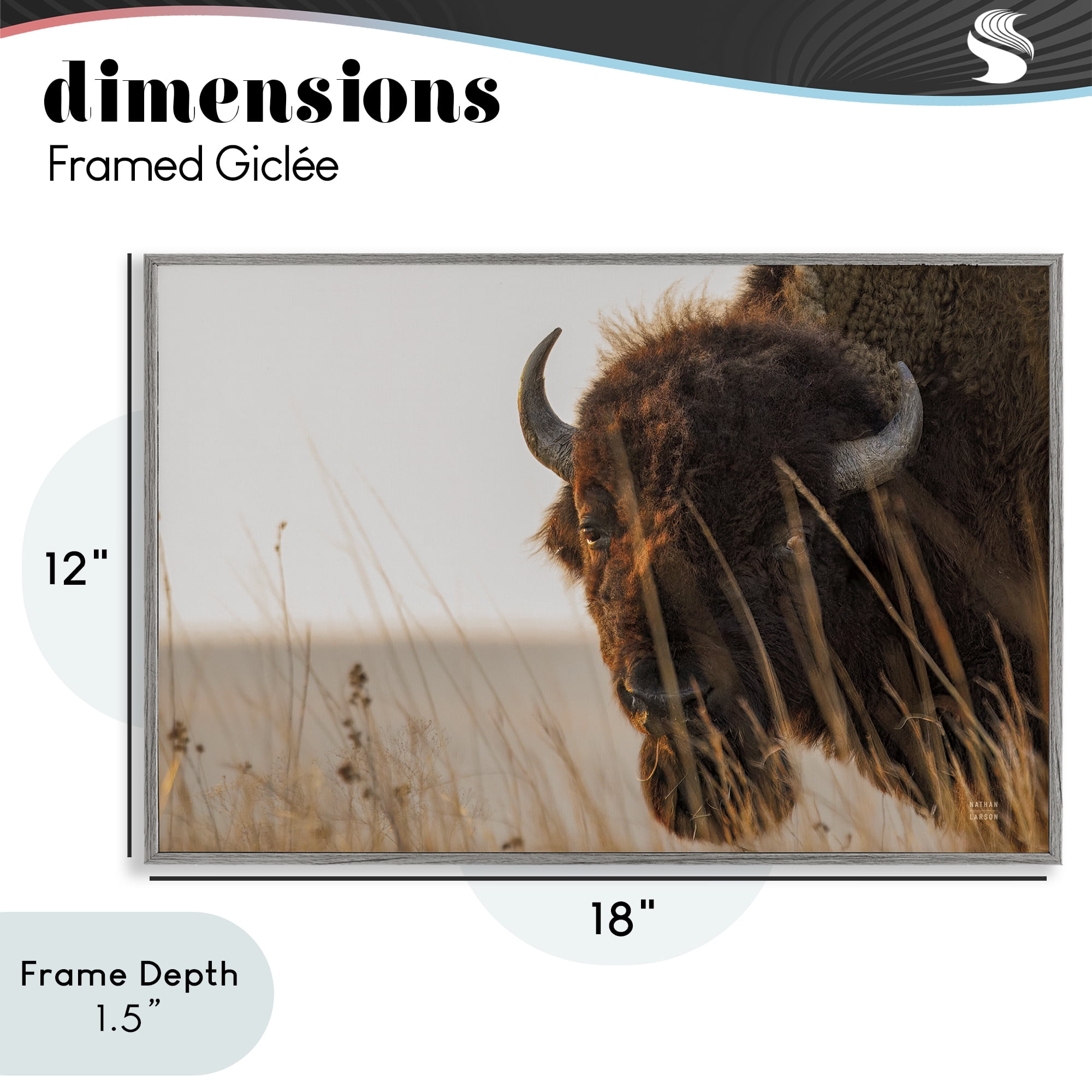 Stupell Industries Bison Sunset on Golden Prairie Gray Framed Giclee Art, design by Nathan Larson