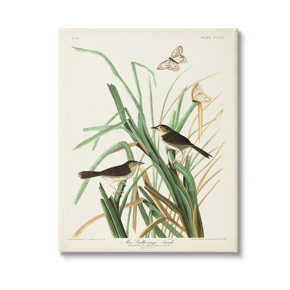 Stupell Industries Traditional Nature Study Animals & Insects Painting Gallery Wrapped Canvas Art Print Wall Art, 16 x 20