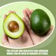 thumbnail image 3 of 4 piezas de modelo de aguacate, frutas, decoraciones de simulación, decoración de comida falsa, pu, 3 of 6