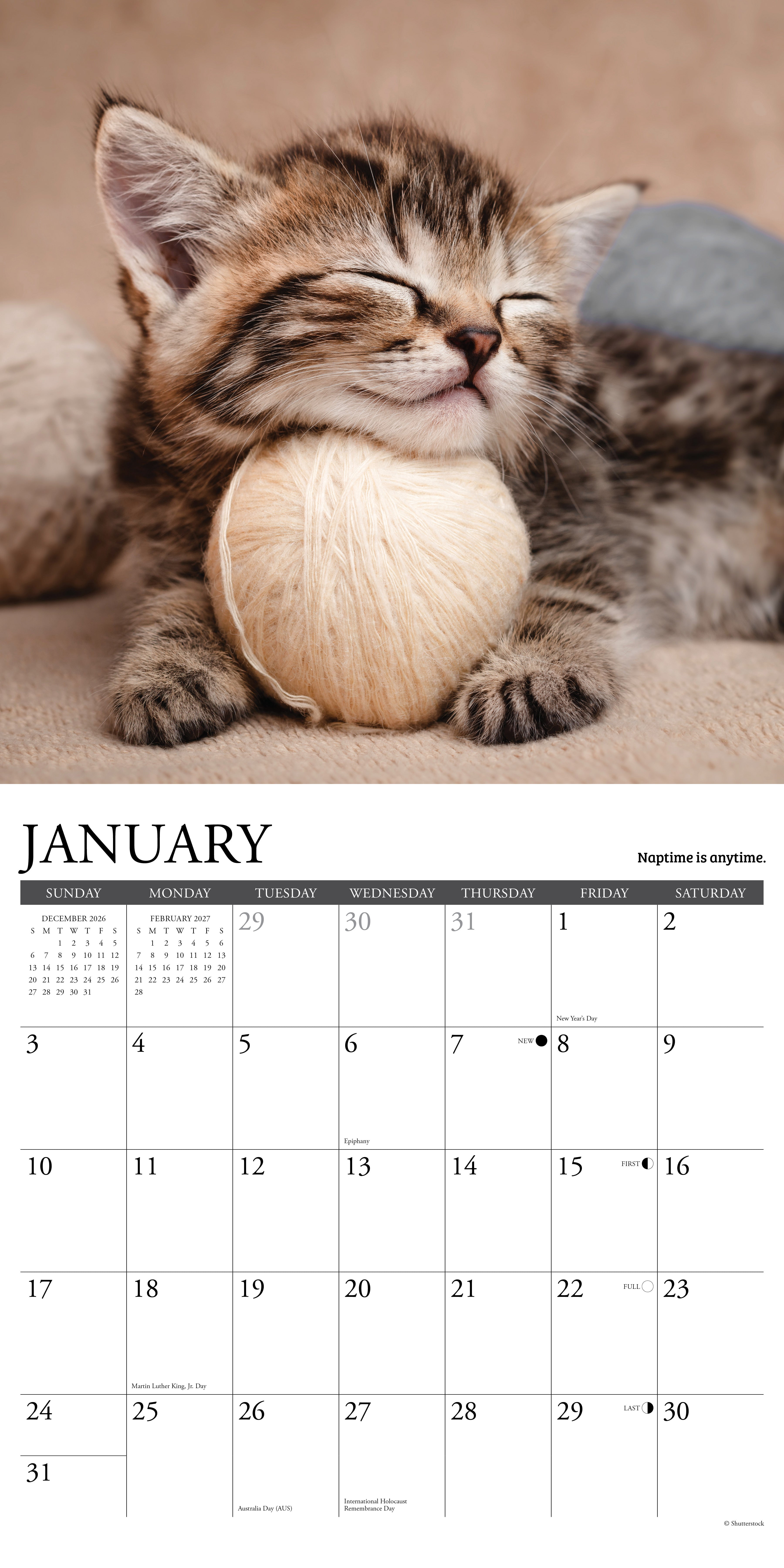 Willow Creek Press, What Kittens Teach Us 2027 Wall Calendar