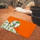 thumbnail image 4 of Cama para dormir de reptil jinwen Saco de Dormir Dragón con Almohada y Manta Gecko Beige y naranja, 4 of 6
