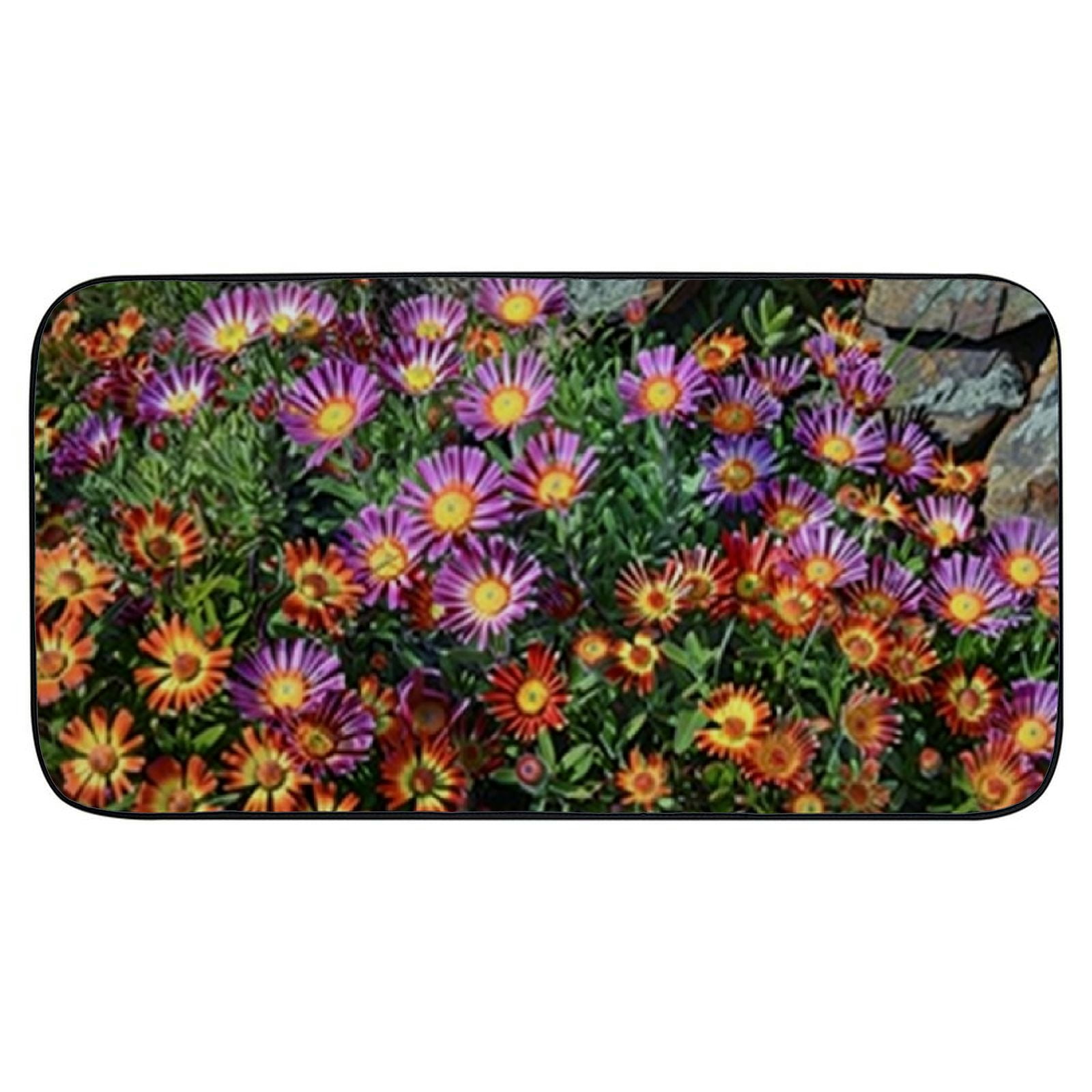 PHYHOO Doormat Floor Rug/Mat - Ice Plant Delosperma Blossom Bloom Flower Decorative Door Mat, Door Mat with Non-Slip Rubber Backing, Easy Cleaning, Traps Dirt, Rug for Entry, Patio