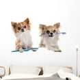 thumbnail image 1 of Chihuahuas and Toothbrush Wall Mural by Wallmonkeys Peel and Stick Graphic (48 in W x 32 in H) WM188830, 1 of 4