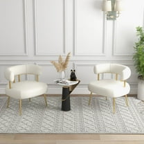 SEYNAR Mid Century Sherpa Accent Chair Set of 2,Fluffy Round Upholstered Bucket Armchair,Vanity Chair Side Corner Sofa for Living Room,Office