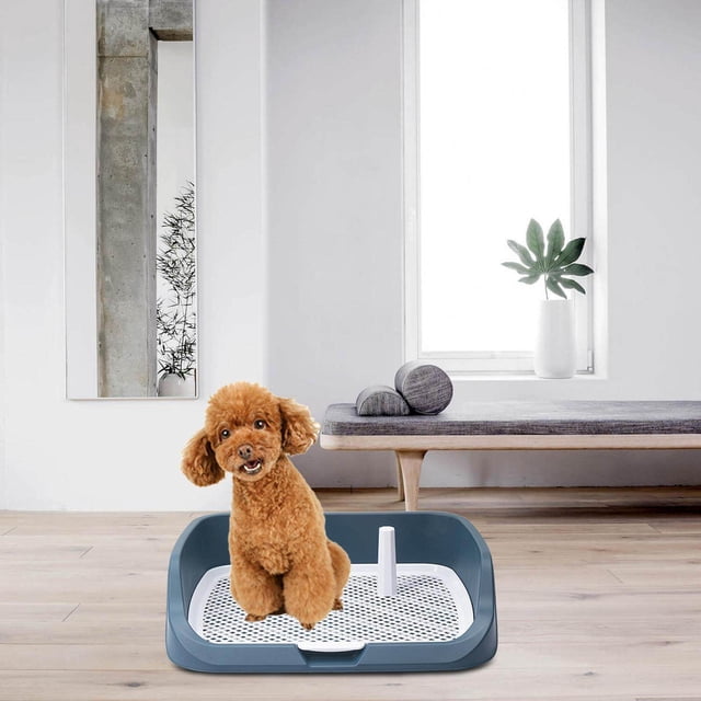 Langgg Washable Pet Training Toilet Tray Potty Tray Puppy Pee Tray Reusable