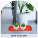 thumbnail image 4 of unbranded 10Ud Accesorio Para Plantas Recolectora De En Plástico Para Interiores, 4 of 8