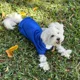 thumbnail image 2 of Sudadera Con Capucha For Perro De Invierno, Sudaderas Con, 2 of 5