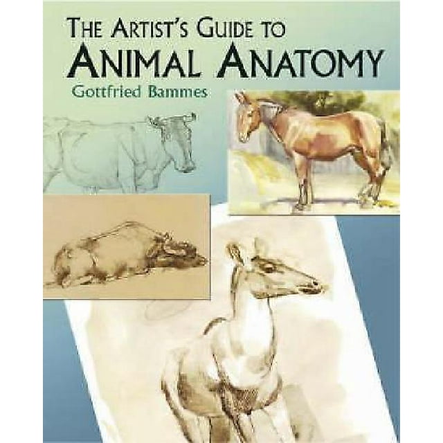 Le Guide de l'Artiste sur l'Anatomie Animale