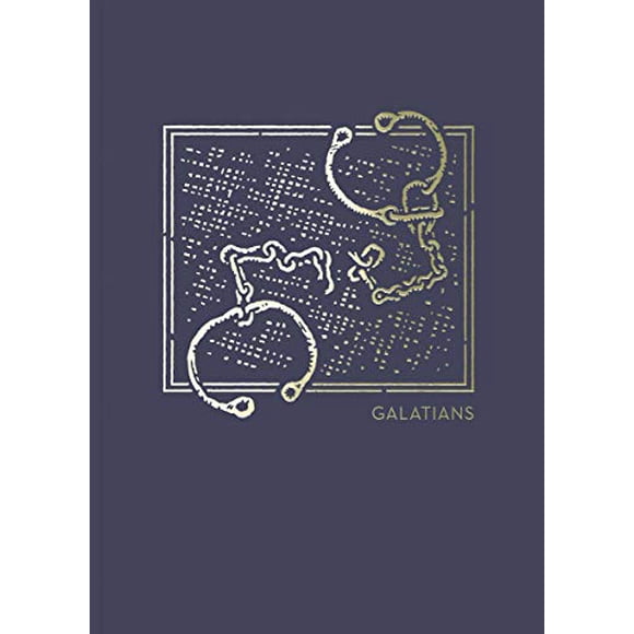 NET The Abide Bible Journals Galatians