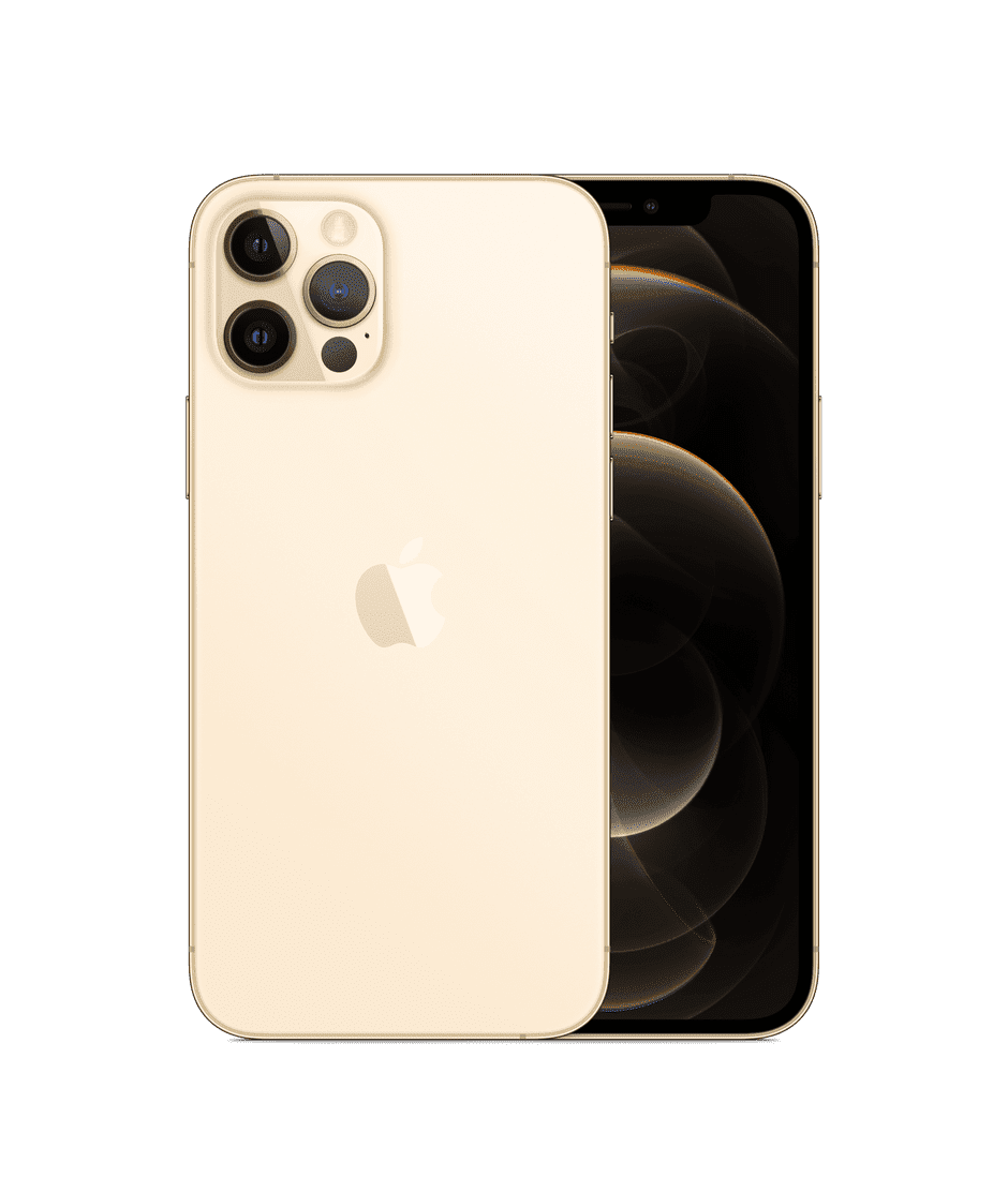 Pre-Owned Apple iPhone 13 Pro Max - Carrier Unlocked - 256 GB Gold