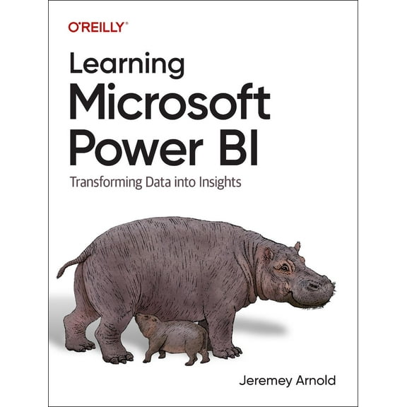 Learning Microsoft Power Bi: Transforming Data Into Insights (Paperback)