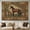 D, variant on XaaKee Tapestry Wall Hanging, Traditional Tapestry With Horse And Wildcats Mural Artwork, Large Wall Tapestry, High-Quality Polyester Bedroom Tapestry, For Living Room And Bedroom, 60x40Inch[cite: 1]